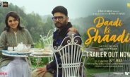 Daadi Ki Shaadi Official Trailer | Kapil Sharma | Panorama Studios | RTake Studios